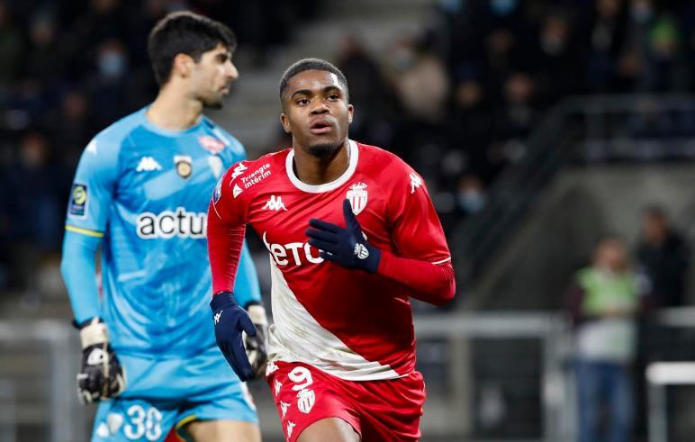 不拔的表现 不拔的表现